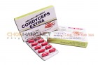 Cordyceps extra (Đông trùng hạ thảo cô đặc)