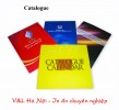 In ấn Catalog chất lượng